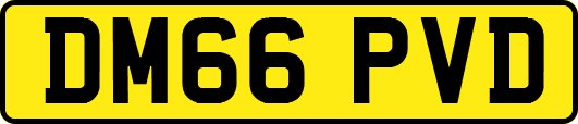 DM66PVD