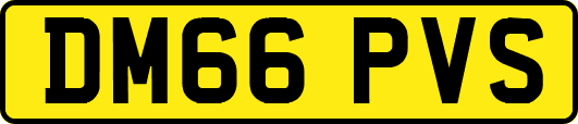 DM66PVS