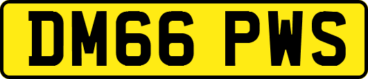 DM66PWS
