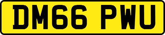 DM66PWU