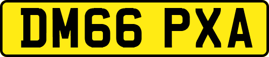 DM66PXA