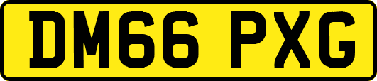 DM66PXG