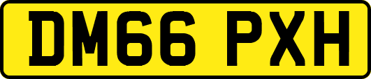DM66PXH