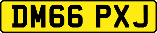 DM66PXJ