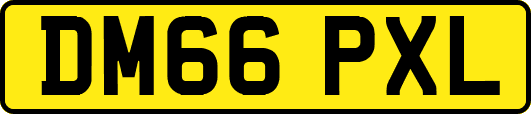 DM66PXL