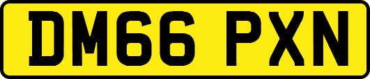 DM66PXN
