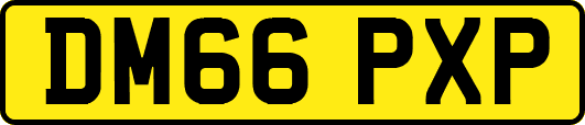 DM66PXP