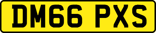 DM66PXS