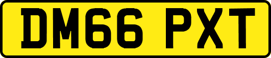 DM66PXT