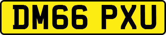 DM66PXU