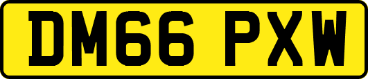 DM66PXW