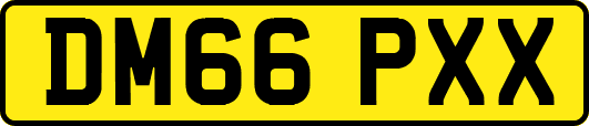 DM66PXX