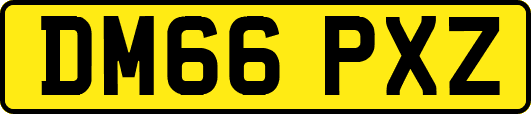 DM66PXZ