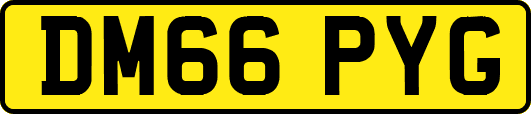 DM66PYG