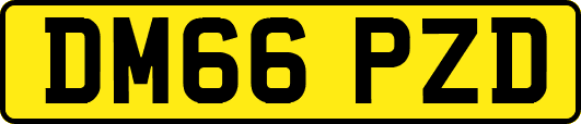 DM66PZD