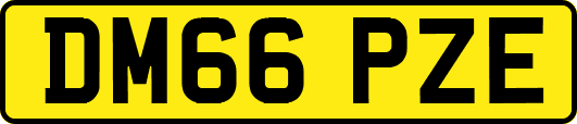 DM66PZE