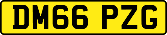 DM66PZG