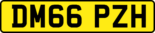 DM66PZH