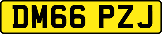 DM66PZJ