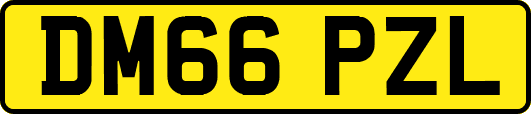 DM66PZL