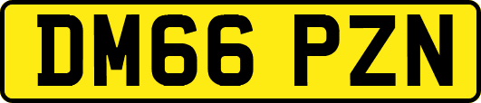 DM66PZN