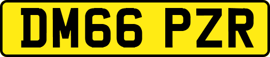 DM66PZR