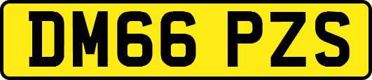 DM66PZS