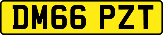 DM66PZT