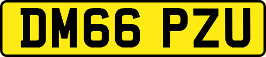 DM66PZU