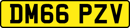 DM66PZV