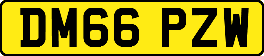DM66PZW