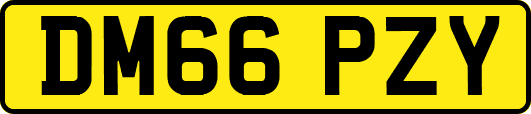 DM66PZY