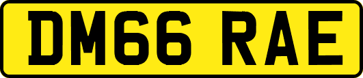 DM66RAE
