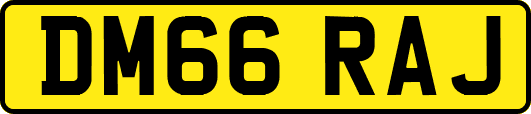 DM66RAJ