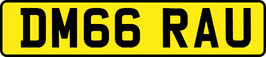 DM66RAU