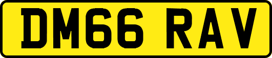 DM66RAV