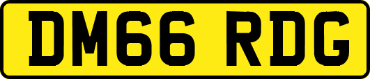 DM66RDG