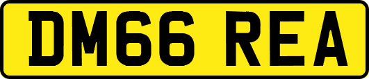 DM66REA