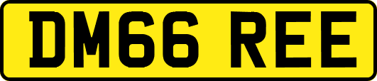 DM66REE