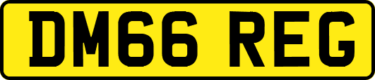 DM66REG