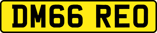 DM66REO