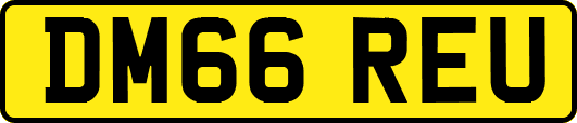 DM66REU