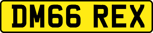 DM66REX