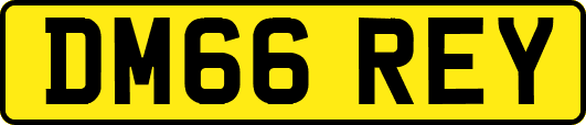 DM66REY