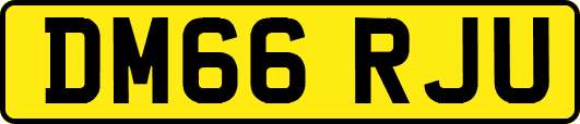 DM66RJU