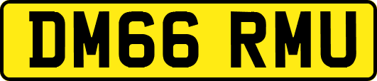 DM66RMU