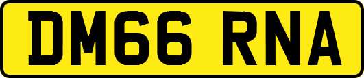 DM66RNA