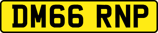 DM66RNP