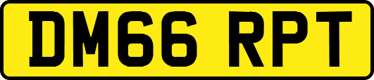 DM66RPT