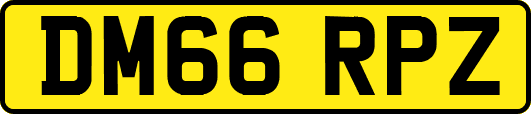 DM66RPZ